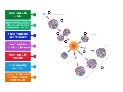 Fission Labelling Activity