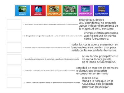 LOS RECURSOS DE PUERTO RICO - VOCABULARIO