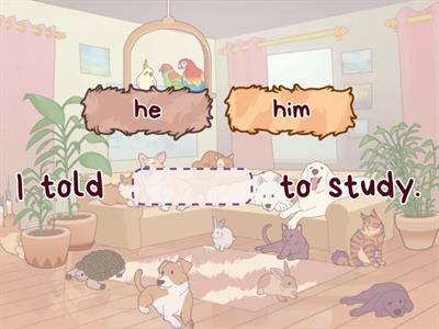 Subject and Object pronouns