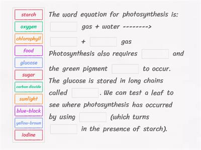 Photosynthesis and Starch Testing