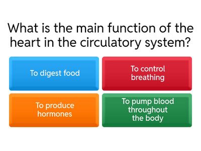 Circulatory System