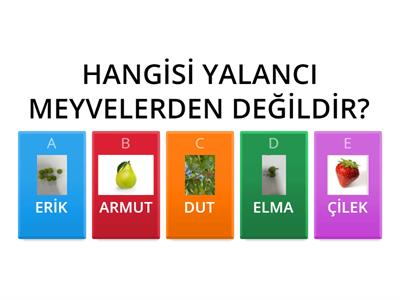 MEYVE ETKİNLİĞİ TESTİ(BAŞARILAR DİLERİZ)