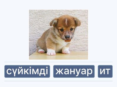 сөйлем құрастыру 