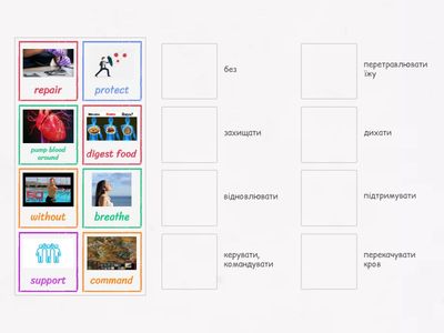 Prime Time 2. 2i Curricular/Science (🌬️verbs)