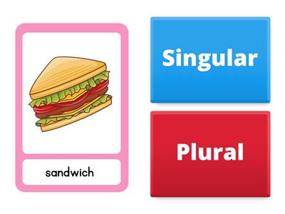 Singular and Plural Nouns