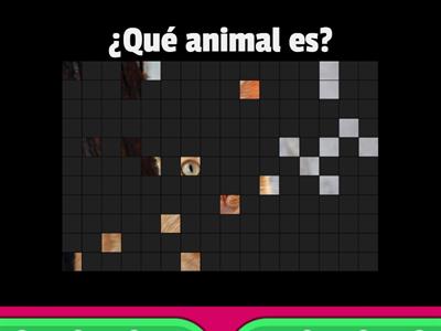 Animales