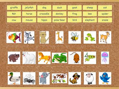  Animals Starters  YLE Unit 1