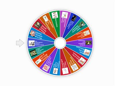 Animal Physiology - Ag Science Spin the Wheel