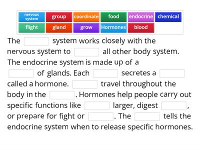 Endocrine System 