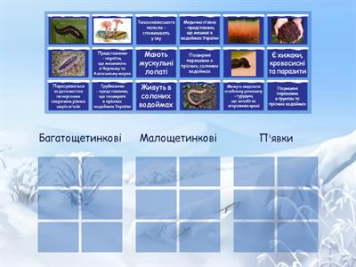  Кільчасті черви 7 НУШ