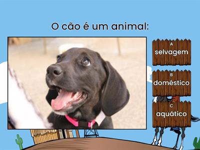 Os Animais - 4ºAno LAGOAS 