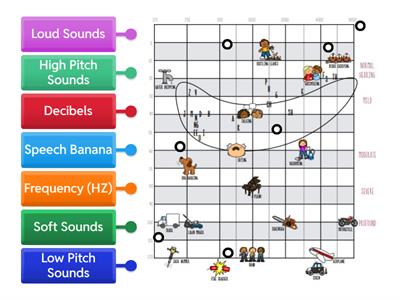  Label the Audiogram