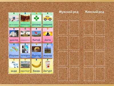 Мужской или женский род