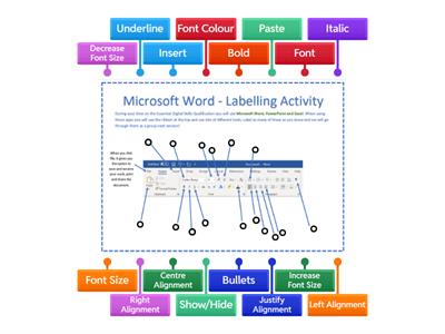 Microsoft Word Labelling
