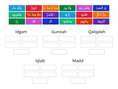 Tajweed Categories