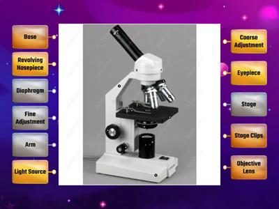 2024 Label Diagram Parts of a Microscope