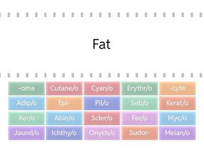 Integumentary System Medical Terminology
