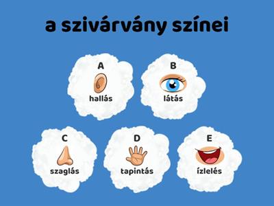 Melyik érzékszervünkkel érzékeljük?