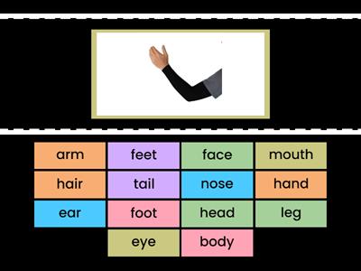 1 Power Up 1 PBp.22 Body Parts