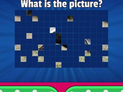 Hidden Picture Glued Sounds  - Unit 7 Week 3