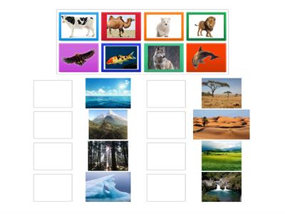 Ognuno nel suo habitat