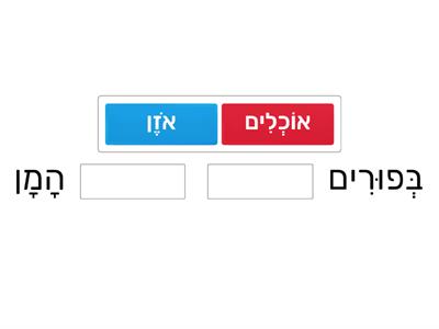 פורים 9 