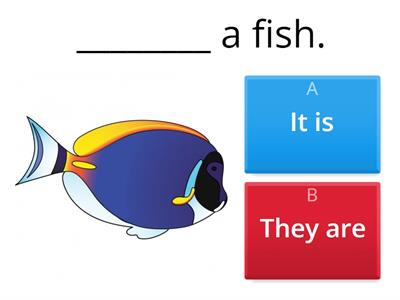 U6 L6  It is vs They are