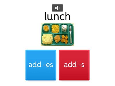 5 U1W5 Plurals: Regular & Irregular