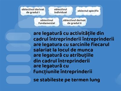 Obiectivele intreprinderii