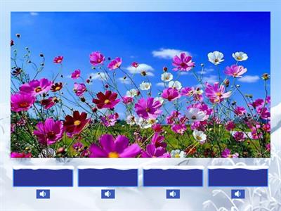 ﻿HWG 8_U4_2我聽懂單字的意思