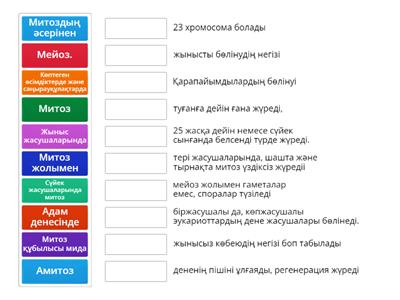 Митоз, мейоз