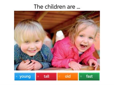 Beehive 3 - Unit 1 Vocabulary Part 2