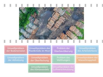 Die Deutschprofis B1.4 Lek 7 Umweltprobleme
