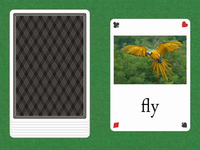 Me1a English Picture Word Cards