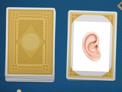 2nd grade Parts of the body