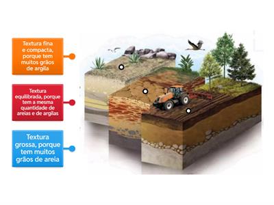 Textura do Solo