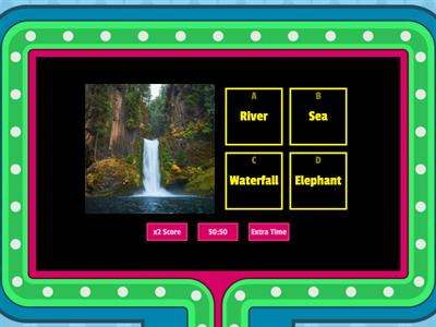 Unit 6 Rainforets 15  ( cuarto de primaria ) 