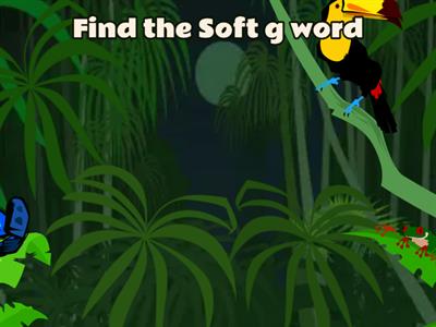 Hard g Soft g Flying Fruit