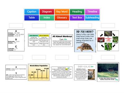  Informational Text Features Practice