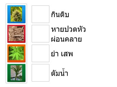 ประโยชน์