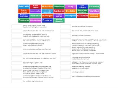 Ecosystem- lesson 2 Vocabulary