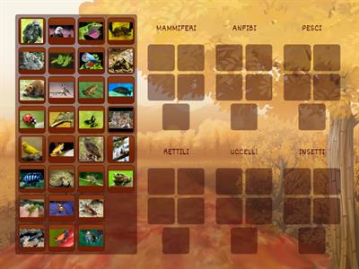 CATEGORIE DEL REGNO ANIMALE