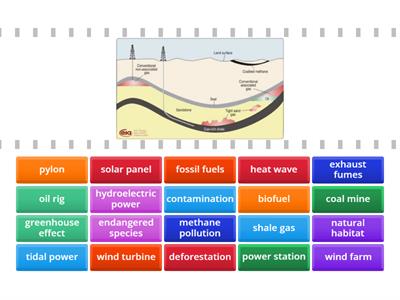 Environment and global warming