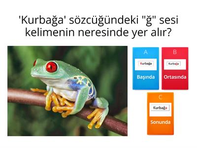 "Ğ,ğ" sesi oyunu 