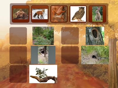 Найди свой дом