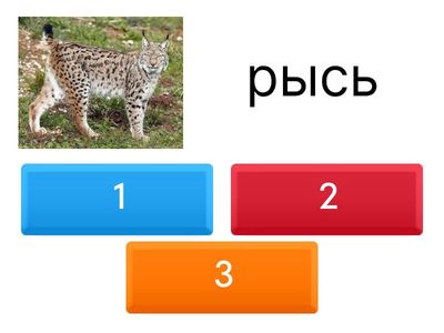 Определи склонение имени существительного. 4 кл. ШР.