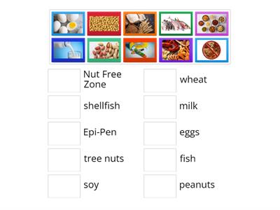 Food Allergies: The Big Eight