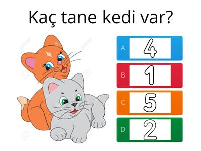 Sayı-Nesne Eşleştirme Çalışması