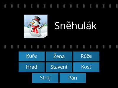 Vzory rodu mužského,ženského a středního