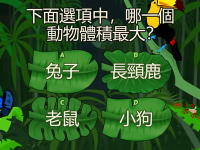 數學4下第10單元